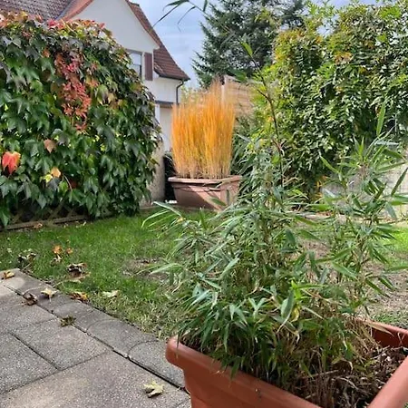 Tobi's Ferienapartment Gottmadingen